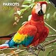 Parrots 2013 Square 12X12 Wall Calendar