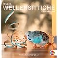 Freche Wellensittiche 2012. Postkartenkalender