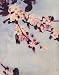 Pinzon Apple Blossoms 30-by-40-inch Stretched Canvas Print
