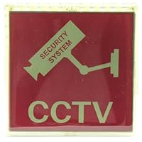 GW Security 3.15 x 3.15 Inche Plastic Flash Security DVR CCTV Warning Sign Solar Powered Signboard