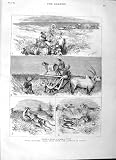 1882 INDIA HUNTING BLACK BUCK CHEETAH BARODA OLD PRINT