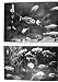 1930 FISH AQUARIUM ROCK BASS INDIAN GORAMY SPOTTED DOGFISH PHOTOGRAPH