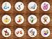 SET (12) ALICE IN WONDERLAND DRAWER PULLS KNOBS