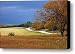 Winery Entrance Canvas Print / Canvas Art - Artist Robert Anschutz