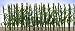 JTT Corn Stalks O-Scale
