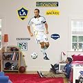 Fathead Landon Donovan
