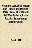 Houston Colt .45s Players: Don Larsen, Joe Morgan, Jerry Grote, Rusty Staub, Hal Woodeshick, Nellie Fox, Jim Beauchamp, Aaron Pointer-