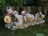 SNORING MEERKAT