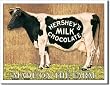 HERSHEY'S MILK CHOCOLATE COW Metal Tin Sign 16"W x 12.5"H