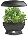 AeroGrow AeroGarden Space-Saver 6 with Gourmet Herb Seed Kit, Black
