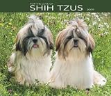 For the Love of Shih Tzu 2009 Calendar