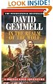 In the Realm of the Wolf: A Drenai Saga Adventure (Drenai Sagas)