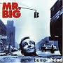 Bump Ahead de Mr.Big