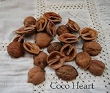 ~Coco Heart~　くるみスライス　約２０個パック　　（木の実・ドライフラワー）