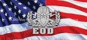 Window Graphic - 30x65 Explosive Ordnance Disposal