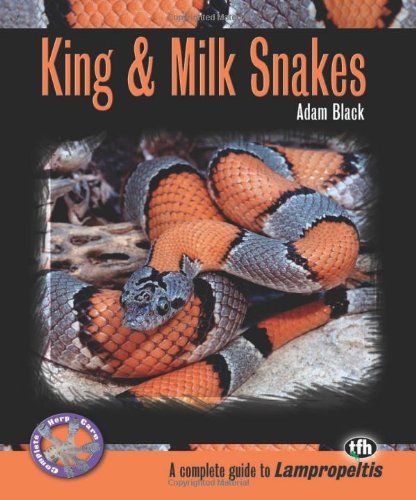 king snakes