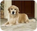 Fiddler's Elbow Golden Retriever on Porch Mouse Pad