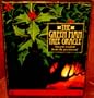 The Green Man Tree Oracle: Ancient wisdom from the greenwood