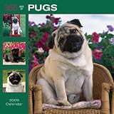 365 Days of Pugs 2009 Wall Calendar