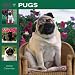   - 365 Days of Pugs 2009 Wall Calendar