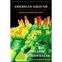 American Ground