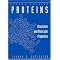 Solving the protein folding problem