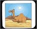 Decorated Mouse Pad with Africa, resting, camel, Sahara, desert, animal, sun