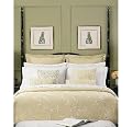 Martha Stewart Collection 