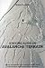 Staying Alive in Avalanche Terrain: Essential Knowledge for Cross-country and Off-piste Skiers, Ski-mountaineers, Snowboarders and Snow-mobilers