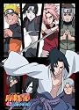 Naruto Shippuden: Sasuke Attack and Characters Profiles Wall Scroll