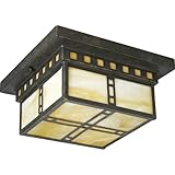 IMAGE OF Progress Lighting P3513-46 Arts and Craft 2-Light Close-To-Ceiling with Honey Art Glass, Weathered Bronze