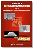 Introduction to Nanoscale Science and Technology (Nanostructure Science and Technology)