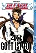 Bleach 48