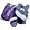 Washington Huskies