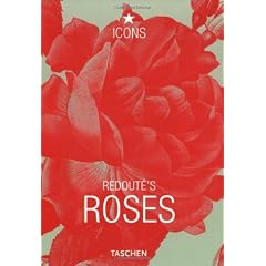 Redoute's roses (ing-ale-fra)