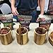 PS Seasoning Jerky Seasoning and Cure Kit (Cracked Pepper & Garlic)- Award-Winning DIY Beef Jerky Making Kit with Seasoning Mix & Cure- Oven, Smoker, Dehydrator- Great for Beef, Turkey, Venison