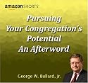 Pursuing Your Congregation's Potential: An Afterword