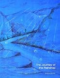 The Journey of the Raindrop