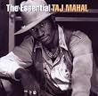 The Essential Taj Mahal