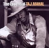 The Essential Taj Mahal