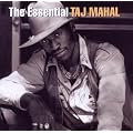 The Essential Taj Mahal