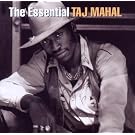 The Essential Taj Mahal