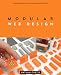 Modular Web Design: Creating Reusable Components for User Experience Design and Documentation (Voices That Matter)