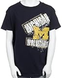 Jansport Michigan Youth Short Sleeve Tee