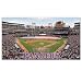 MLB Texas Rangers Large Floor Mat