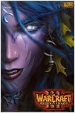 Warcraft III - Reign of Chaos - Elf Woman 12x18 Poster