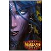 Warcraft III - Reign of Chaos - Elf Woman 12x18 Poster