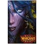 Warcraft III - Reign of Chaos - Elf Woman 12x18 Poster