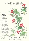 Amazon / Hirts: Seed; Cardinal Climber: Cardinal Climber Vine Seed - 1.5 grams - Ipomoea