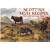 Scottish Meat Recipes (Favourite Recipes)